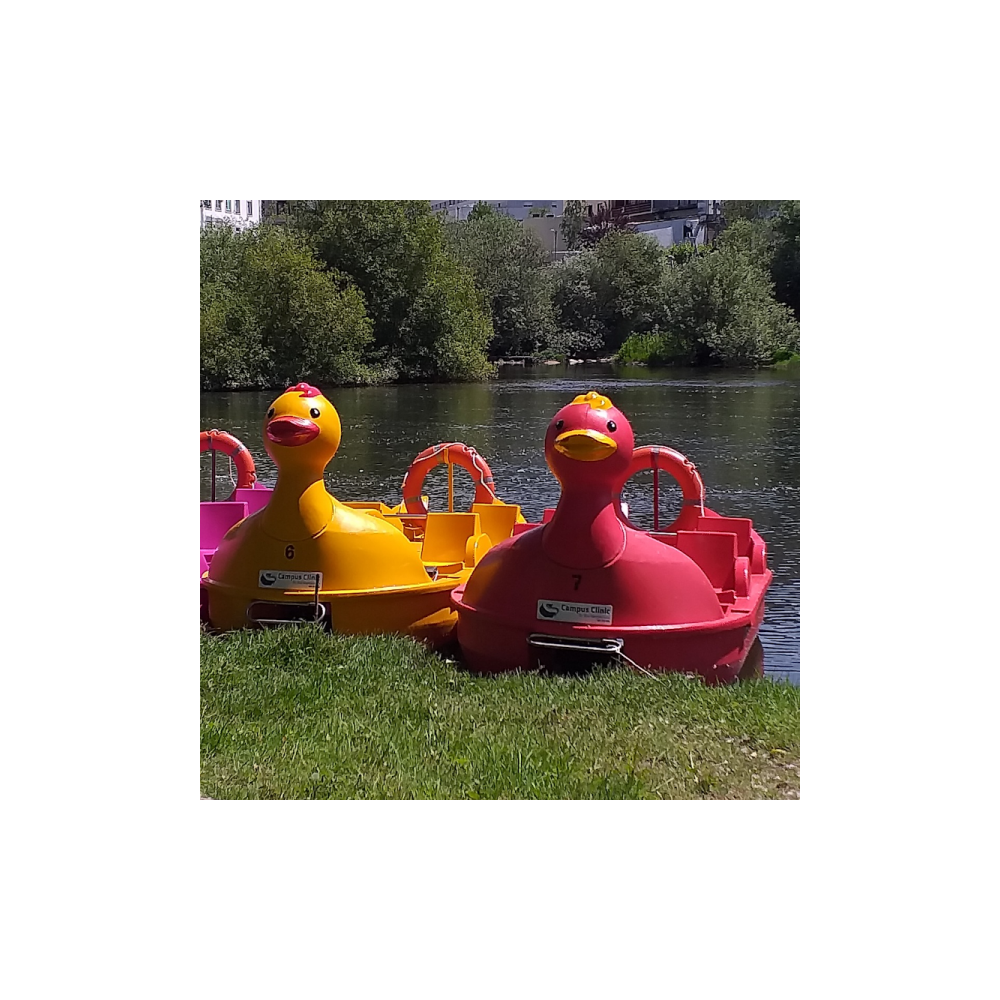 vandens-dviratis-lanoria-duck (2)